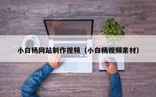 珠海小白杨网站制作视频（小白杨视频素材）